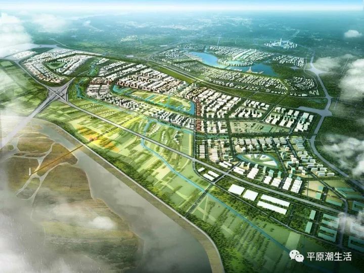 平原新區新脈動,城市發展與溫馨日常的最新消息
