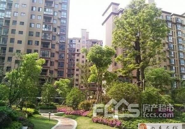 內鄉左岸皇朝最新動態，時尚潮流引領者的新地標揭秘