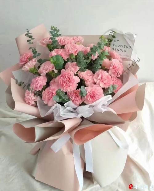 康乃馨價格走勢揭秘,市場趨勢、影響因素與選購指南