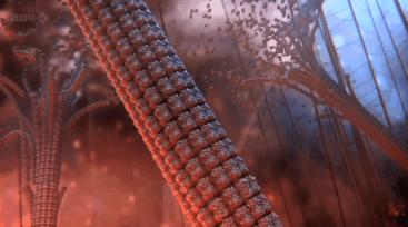 全國病毒感染最新動態(tài)，自然美景呼喚你我共賞