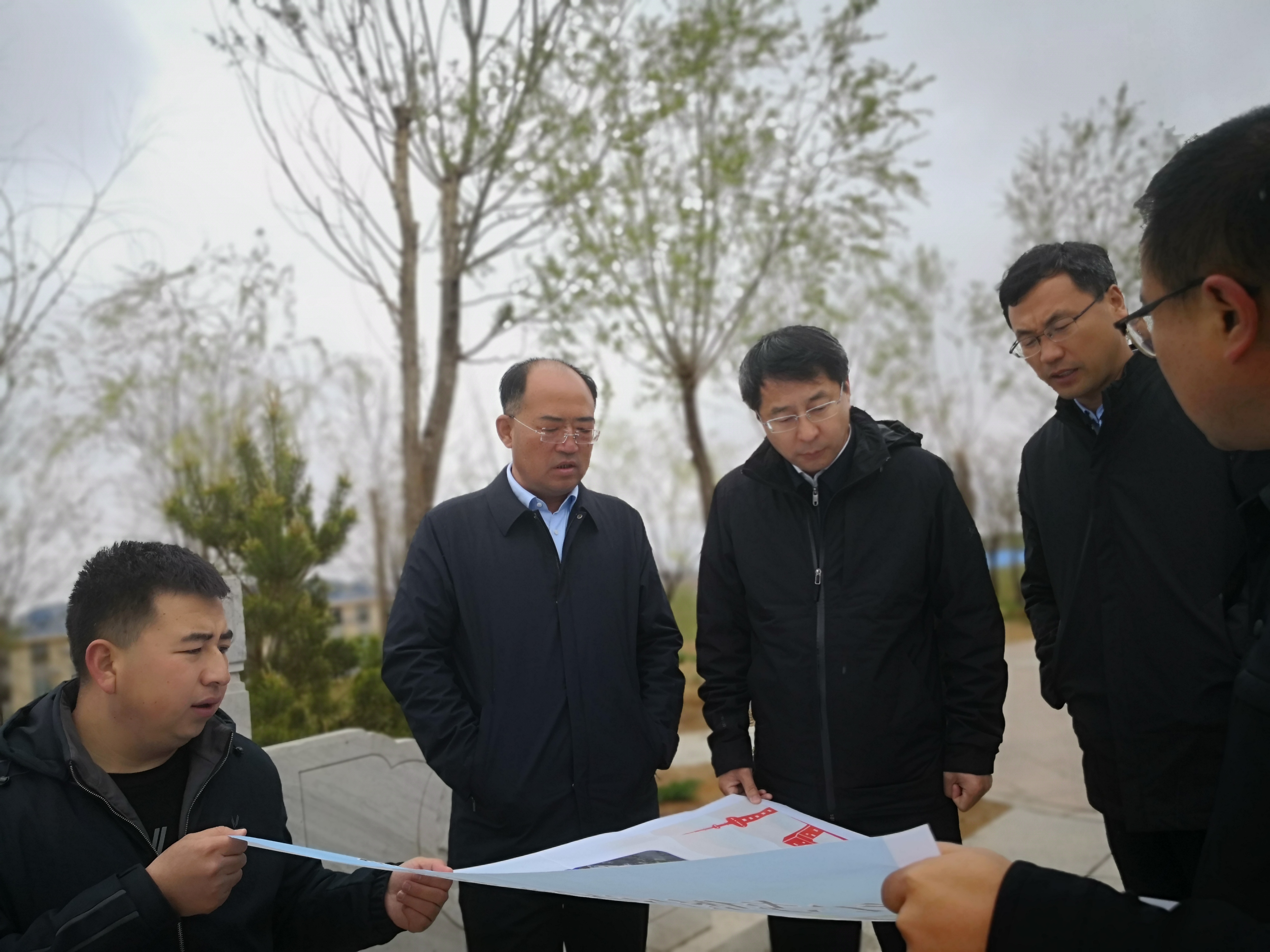 寧夏張包平最新動態,一段溫馨有趣的日常故事