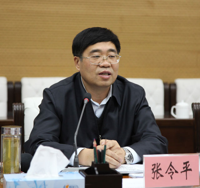 寧夏張包平最新動態,一段溫馨有趣的日常故事