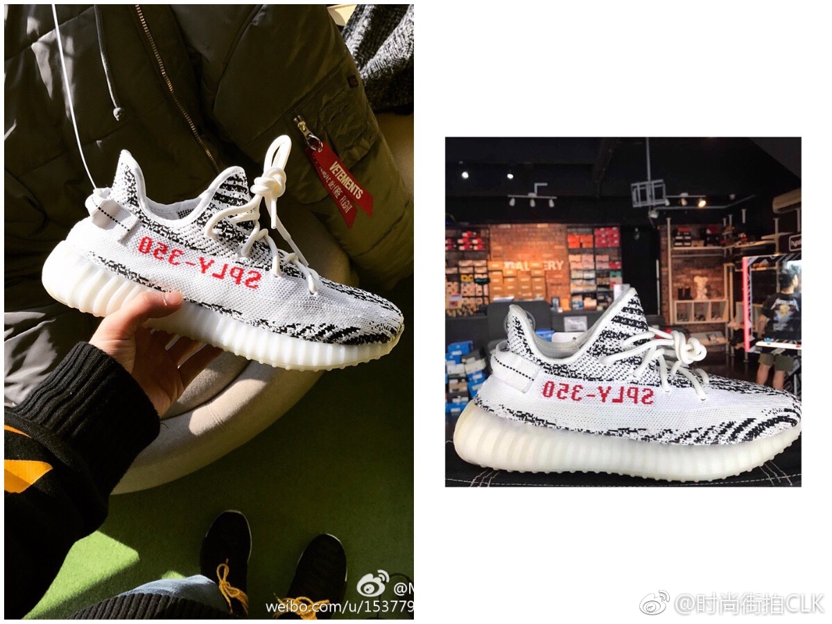 椰子最新動態,小巷中的秘密美食樂園