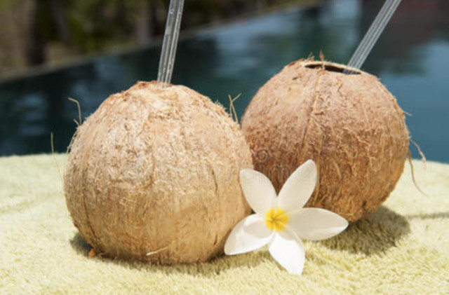 椰子最新動態,小巷中的秘密美食樂園