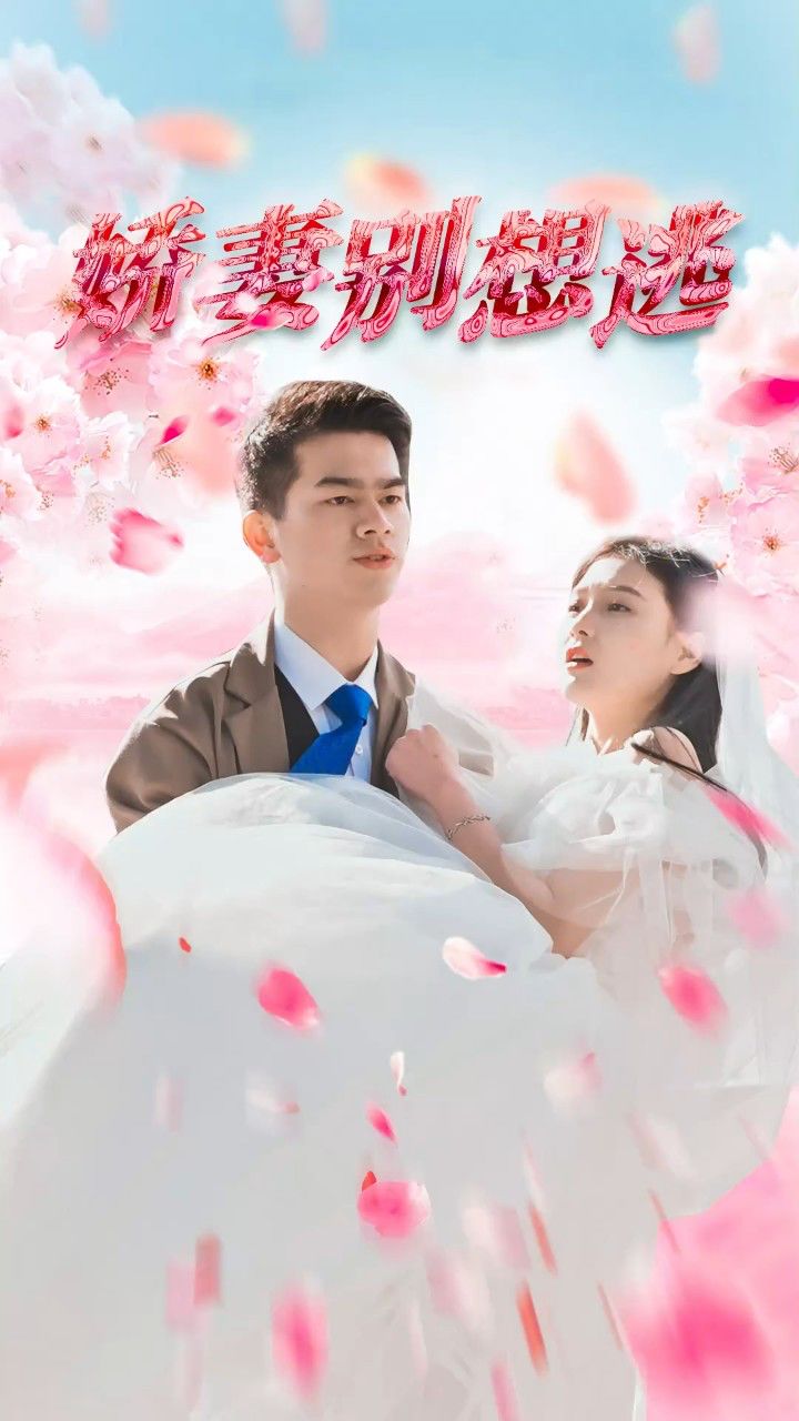 鮮妻不準(zhǔn)逃大結(jié)局最新深度探討,多維度視角下的分析