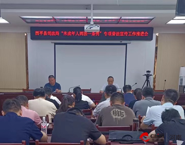 河南西平新聞最新動態(tài)，小巷深處的獨特風味