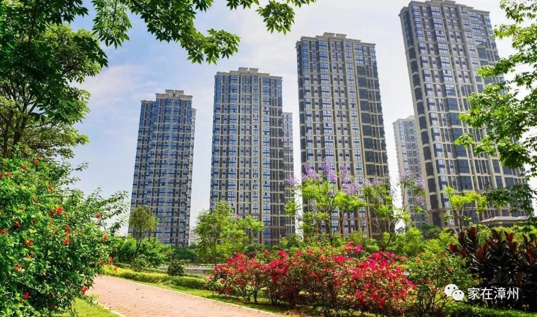 漳州國貿潤園最新房價揭秘,家的故事與溫馨家園的呈現