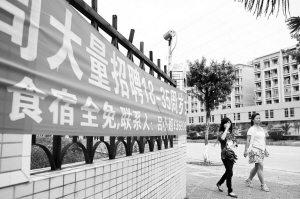 河源東源仙塘最新招聘，時代背景下的新機遇啟航