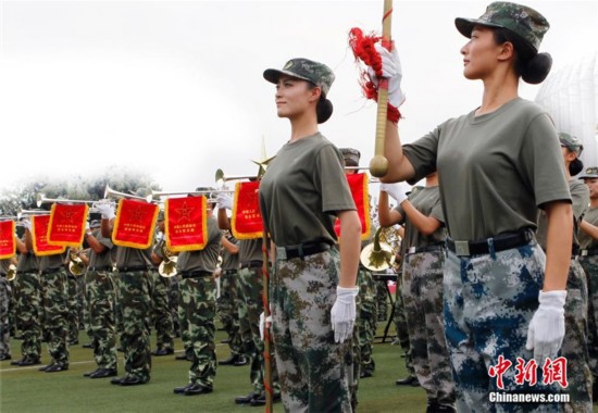 我的女兵我的團全新背景、事件與影響深度解析，揭秘最新動態與影響！