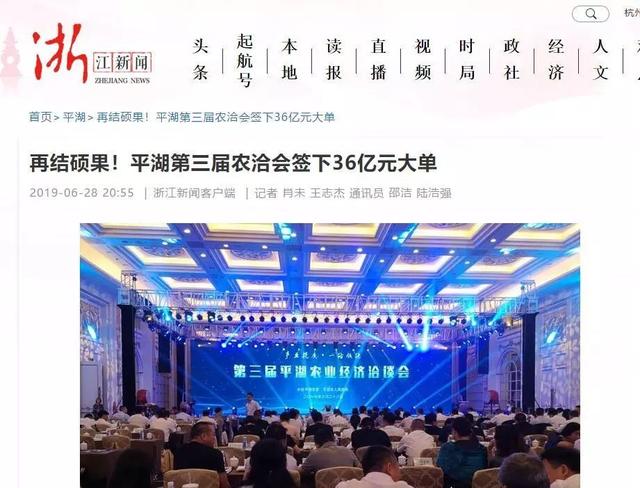 浙江平湖城市發展與民生改善動態報告,最新新聞及深度解析