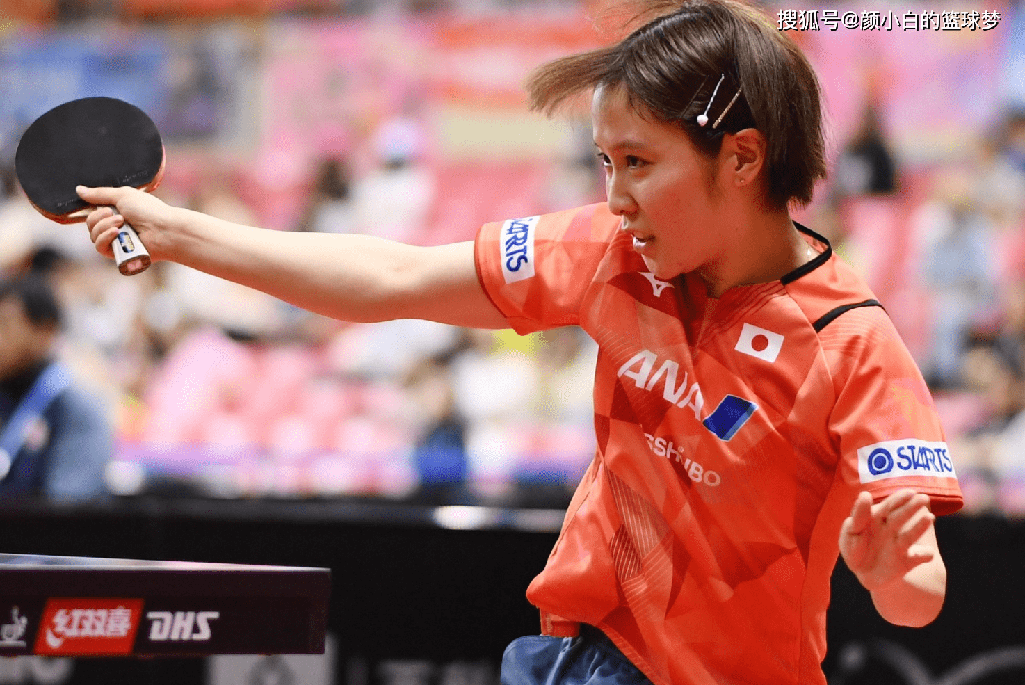 平野美宇最新消息獲取指南,掌握最新動態一網打盡