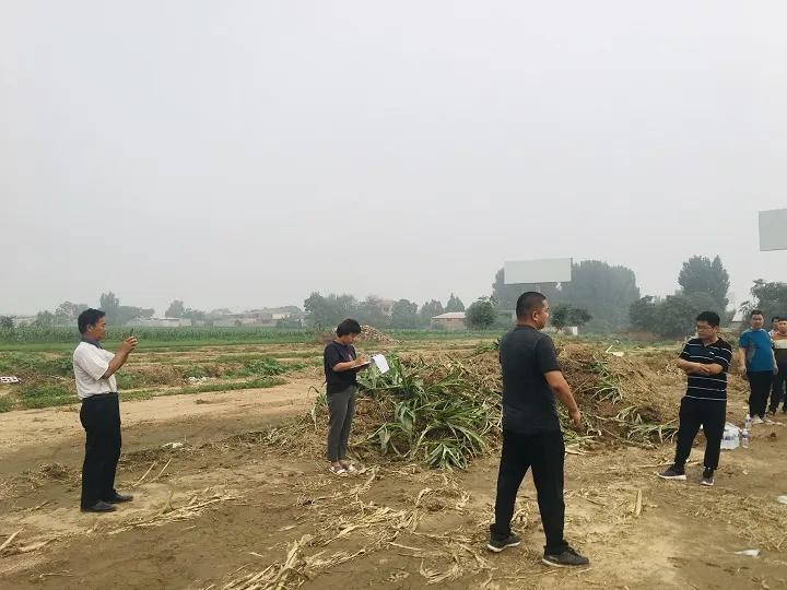 永年區最新工程項目，時代印記與未來展望之路