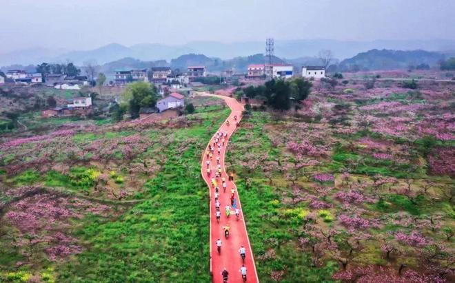 簡陽養馬靈仙最新規劃與美食探秘之旅