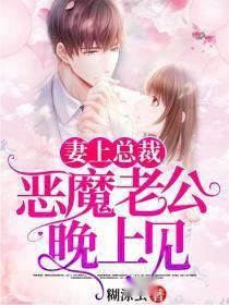 總裁晚上見,最新章節揭秘,背景、事件與影響全解析